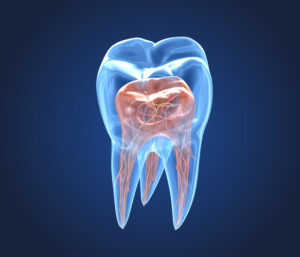 Endodonzia che cos’è