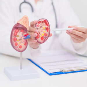 Urologia