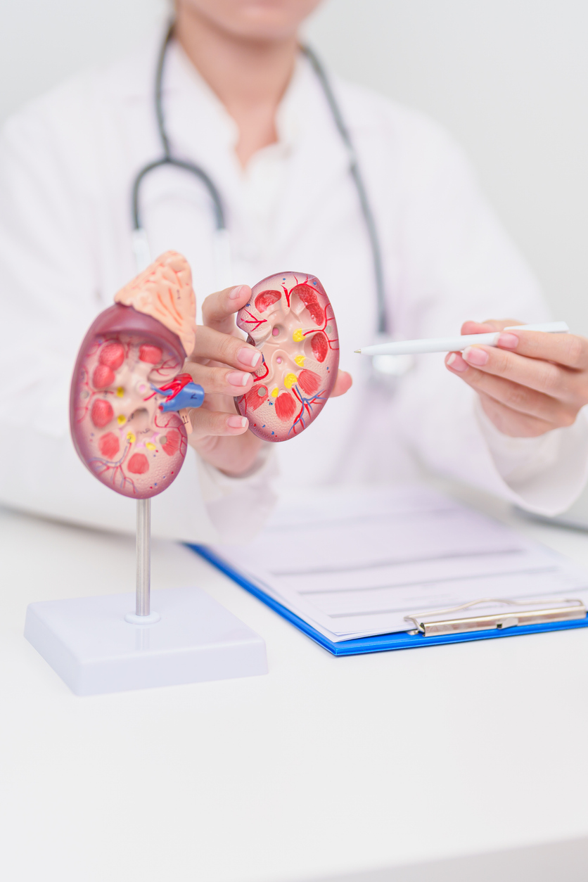 Urologia